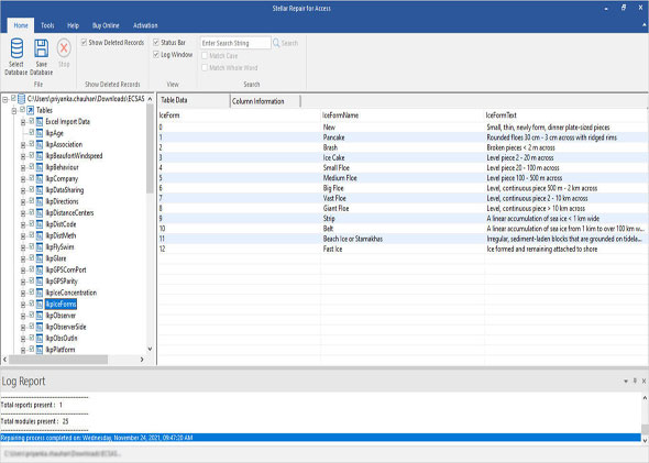 microsoft access database repair tool